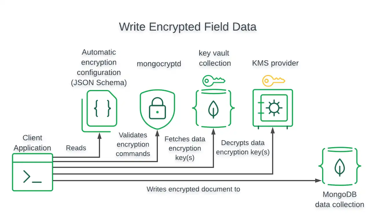 Diagram that shows the data flow for a write of field-level encrypted data
