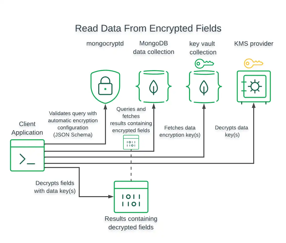 Diagram that shows the data flow for querying and reading field-level encrypted data